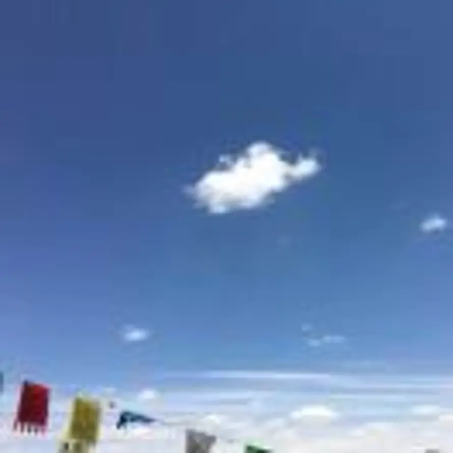 三月的头像