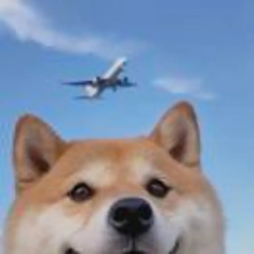 royruu的头像