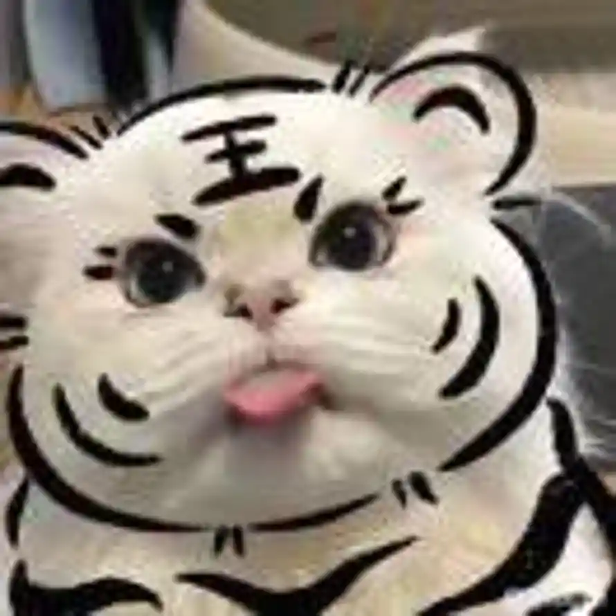 烟滦的头像