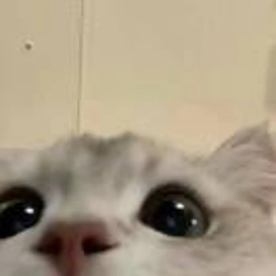 故意 (-^〇^-)的头像