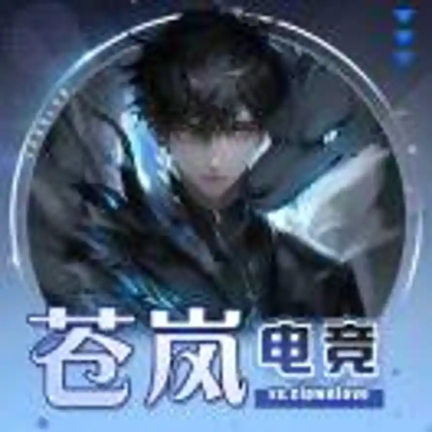 岚（25h战神没回弹语音)的头像