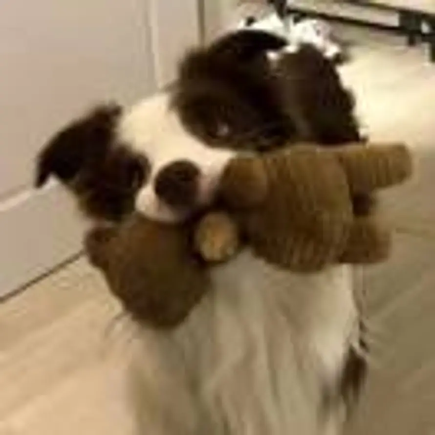 Oh！的头像