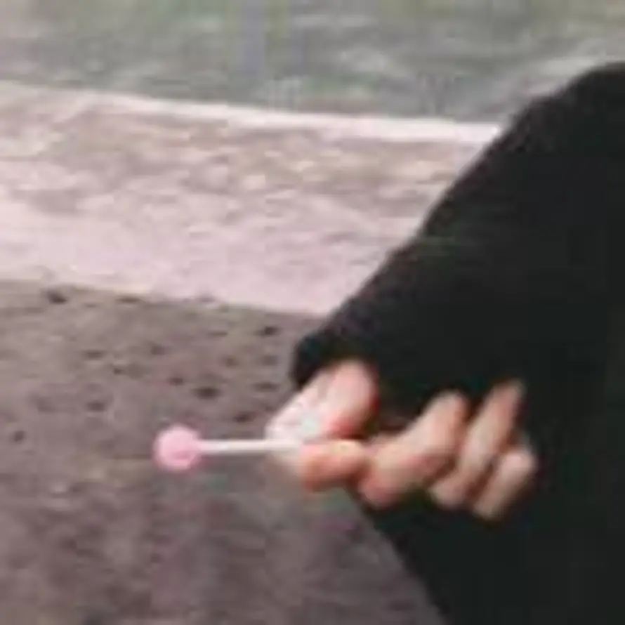 三三🍬的头像