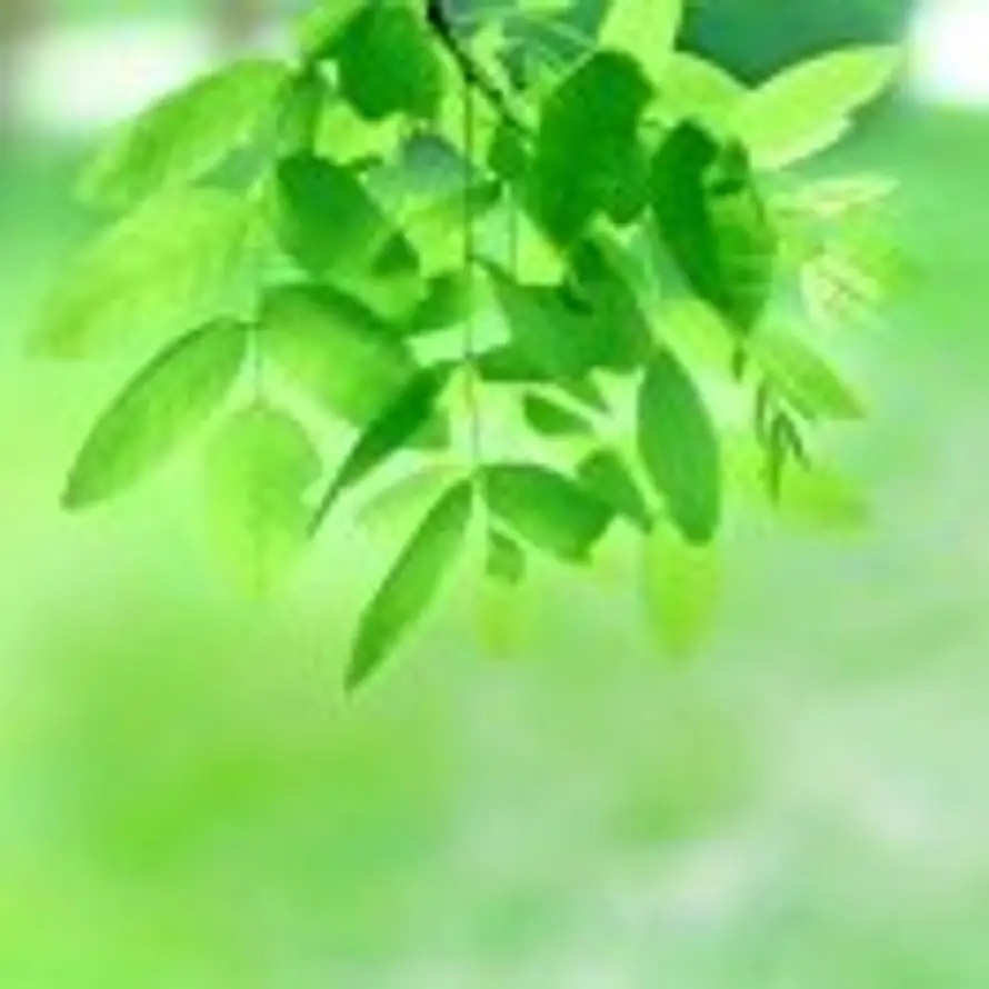 水里有金鱼的头像