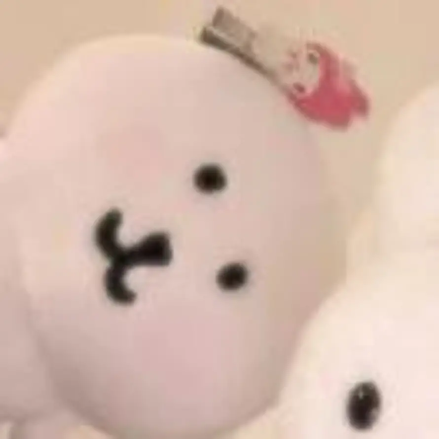 小熊豪的头像