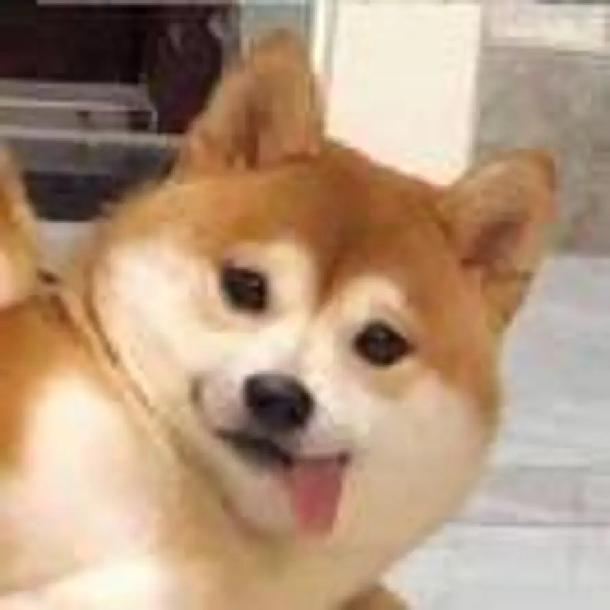 咫尺花开的头像