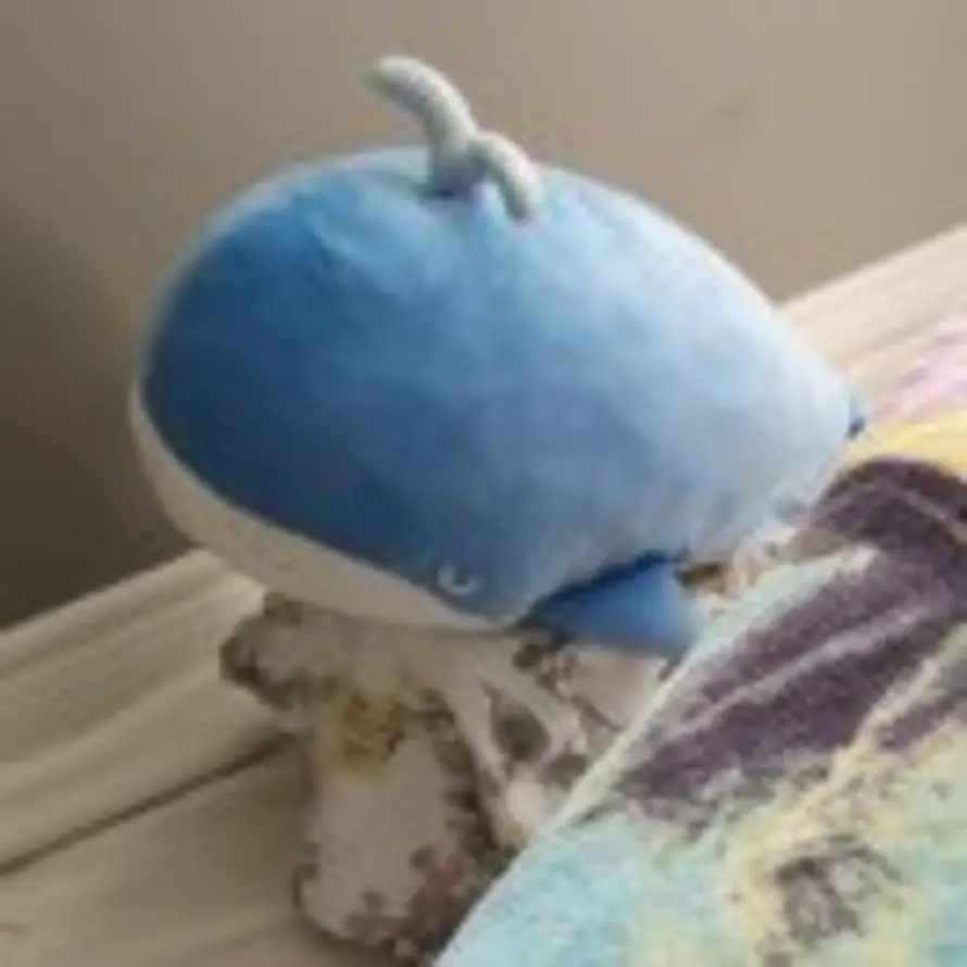 Kacaty的头像