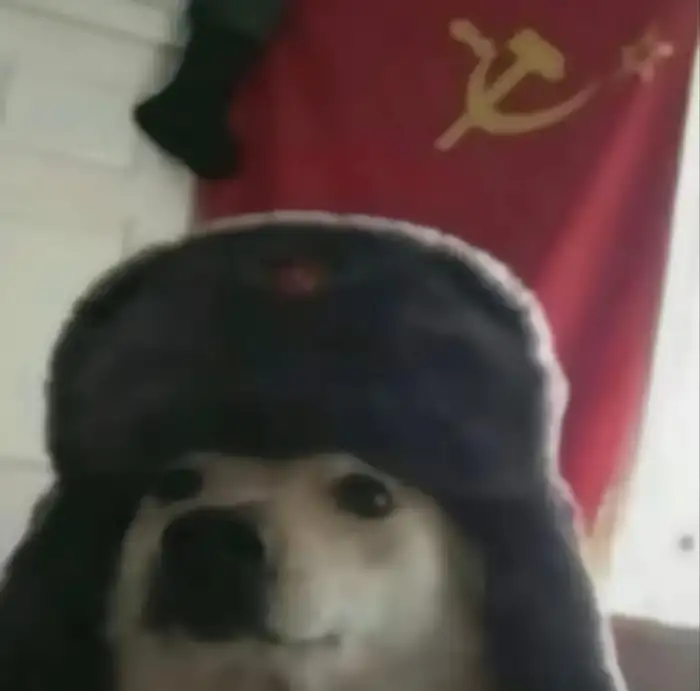 Yolo.的头像