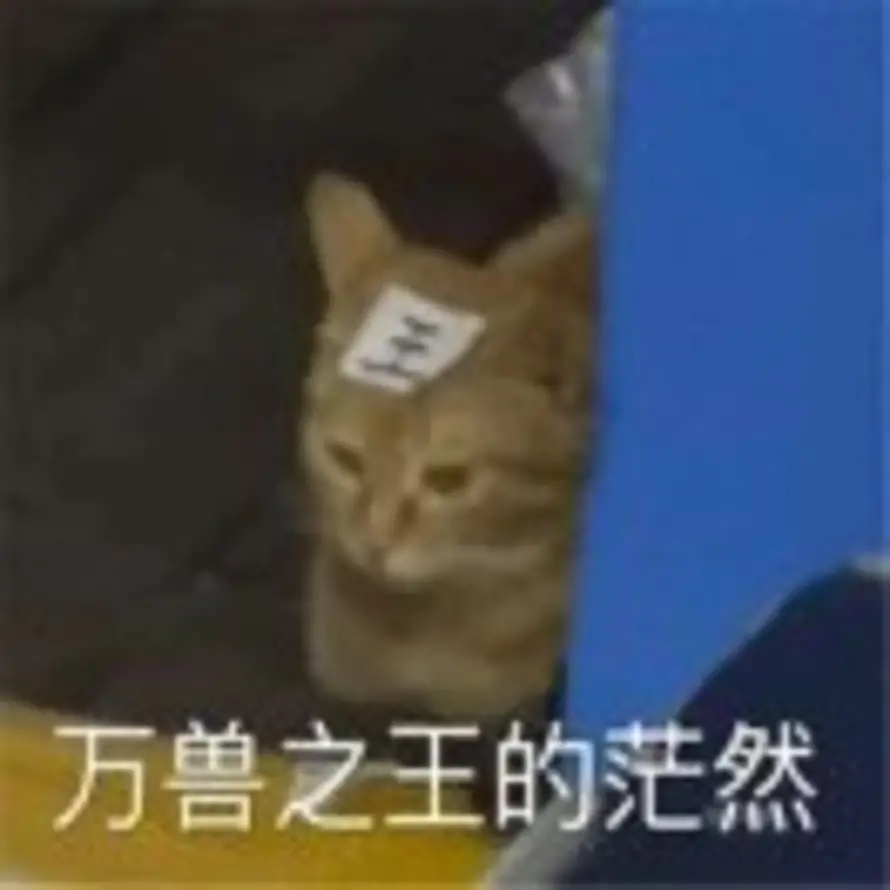 咖啡音的头像
