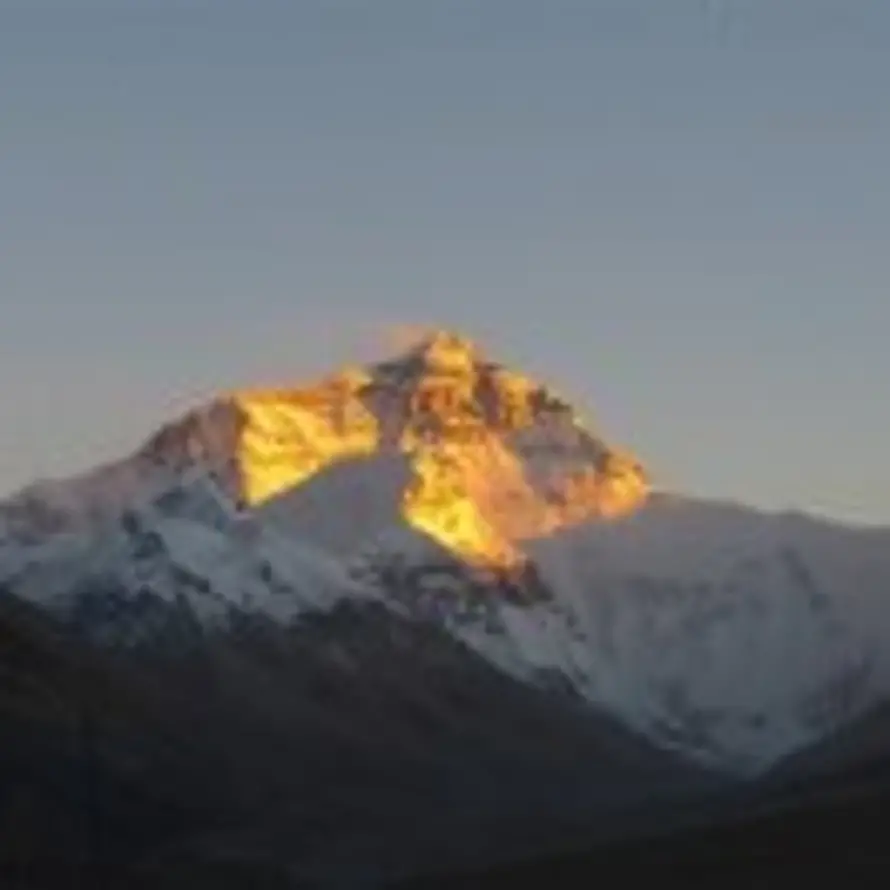 峰的头像