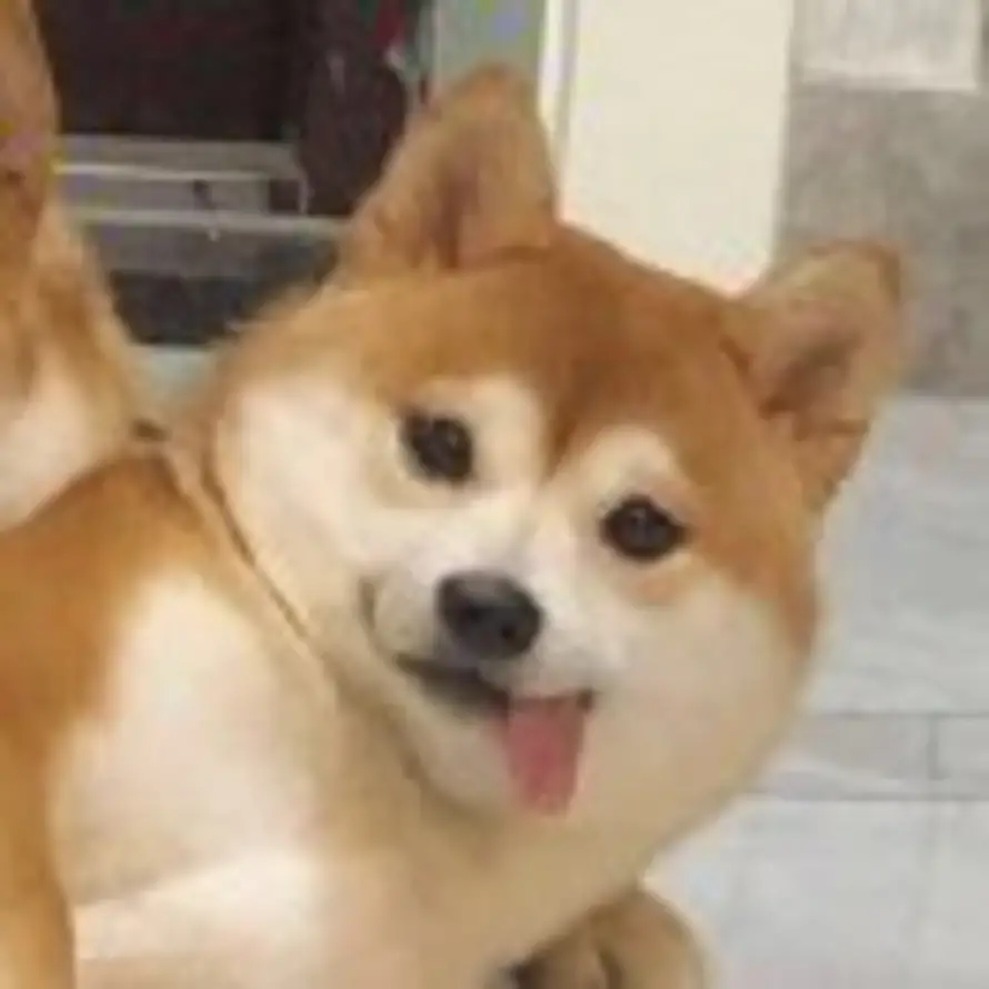 Faith的头像