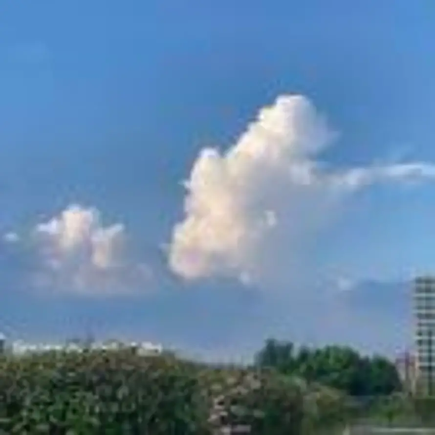 神游的头像