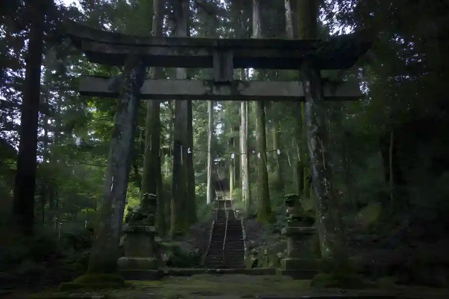 3k森景壁纸-幽谧风壁纸和日本神社-神社牌坊「哲风壁纸」