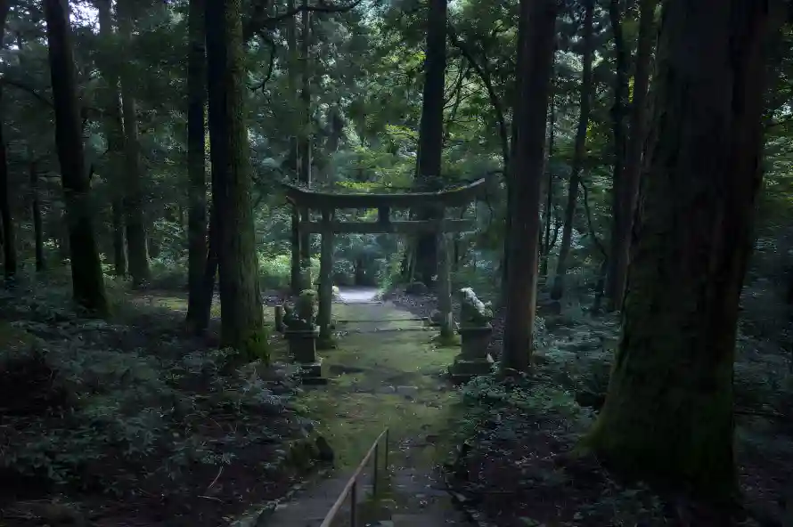 3k丛林风光壁纸-山间丛林壁纸和日本神社-森林神社「哲风壁纸」