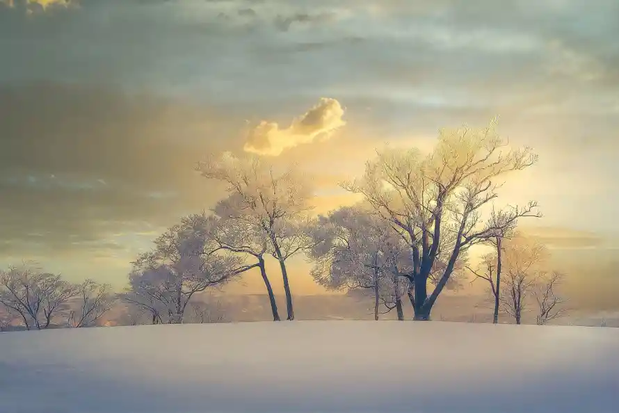 4k冬日壁纸-自然景观壁纸和雪景-壁纸分享「哲风壁纸」