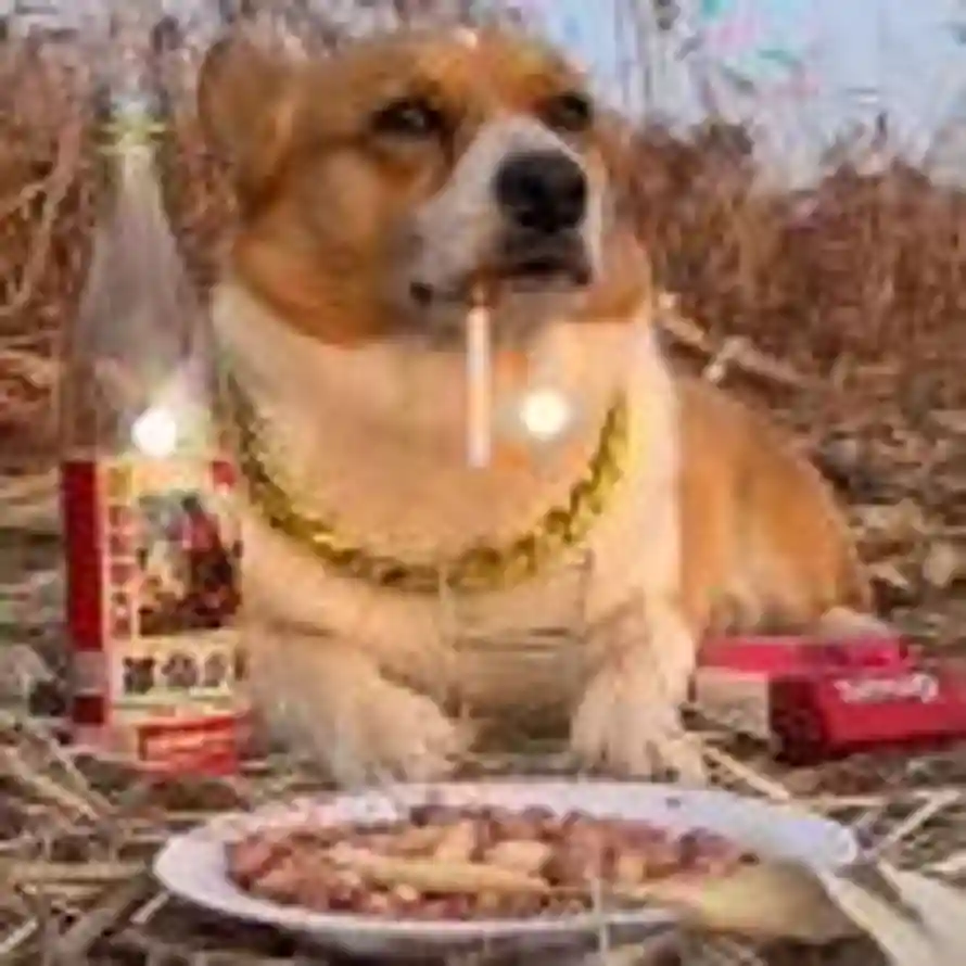 天青色的头像