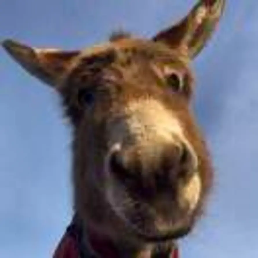 破空拔刀斩的头像