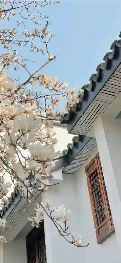 4k春花壁纸 - 桃花 - 古建筑 - 氛围感「哲风壁纸」