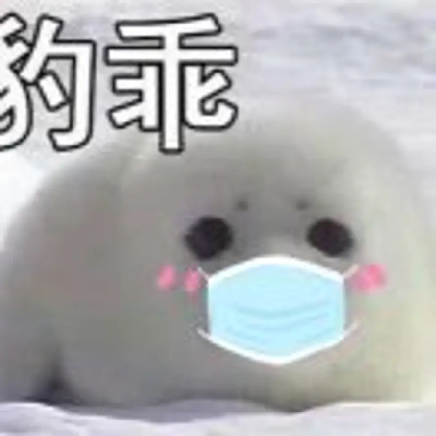 泡泡的头像