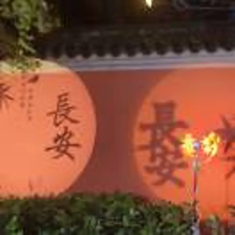 Vvo'lol的头像