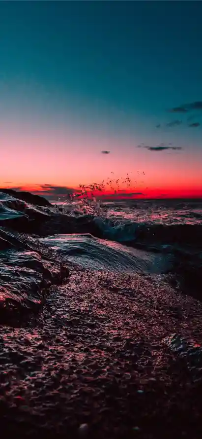 Favorite Image