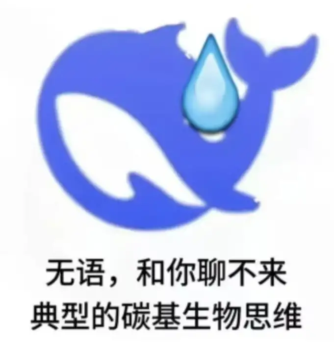 皮皮浩的头像
