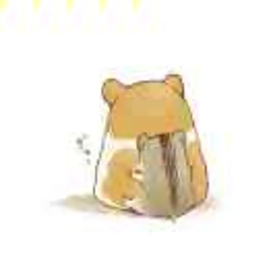 YXY的头像