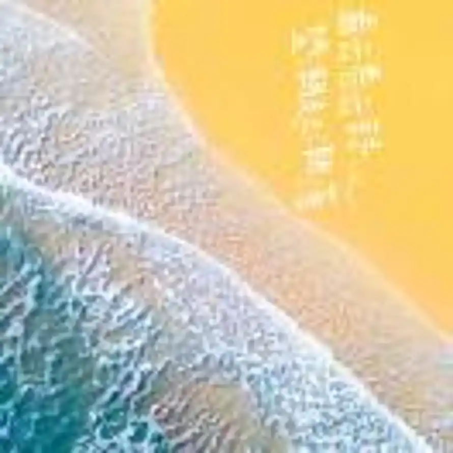 毛贾伟的头像