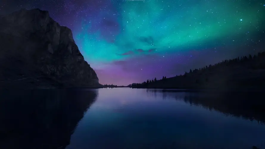 Favorite Image