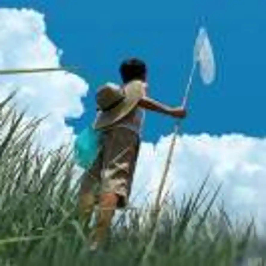 笨小孩的头像