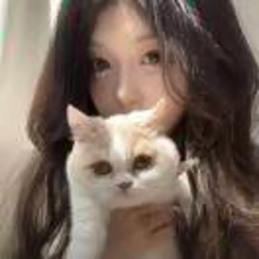 陈陈的头像