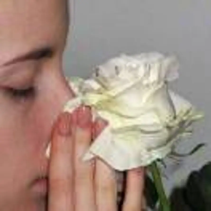 枕花眠的头像