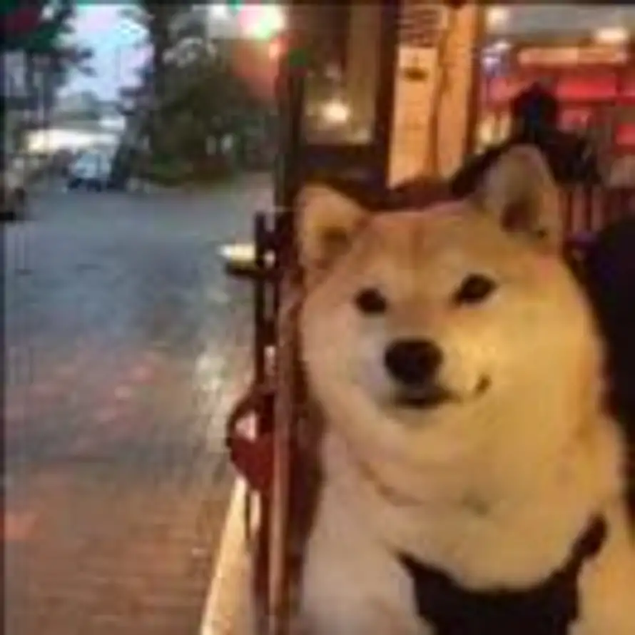 Hao的头像