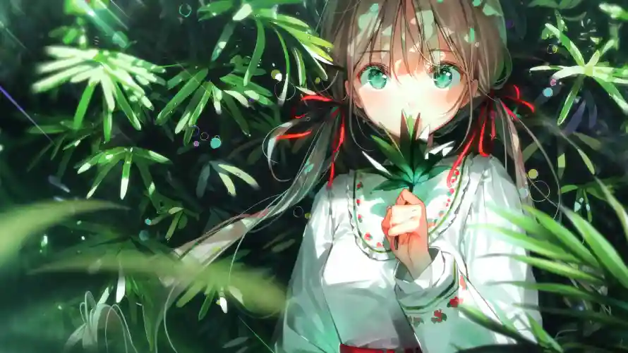 Favorite Image