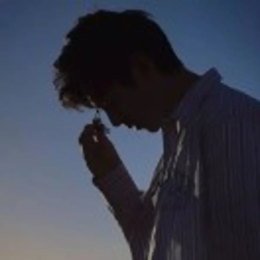 晨曦的头像