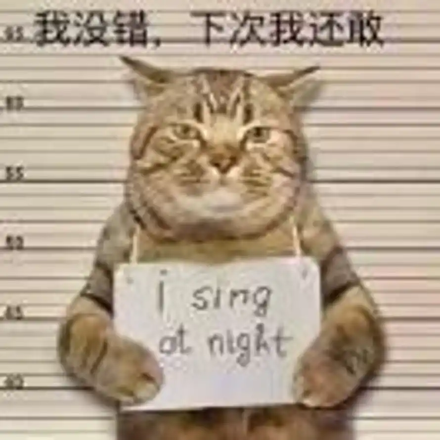 云游四海的头像