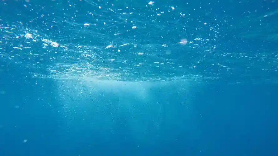 Favorite Image