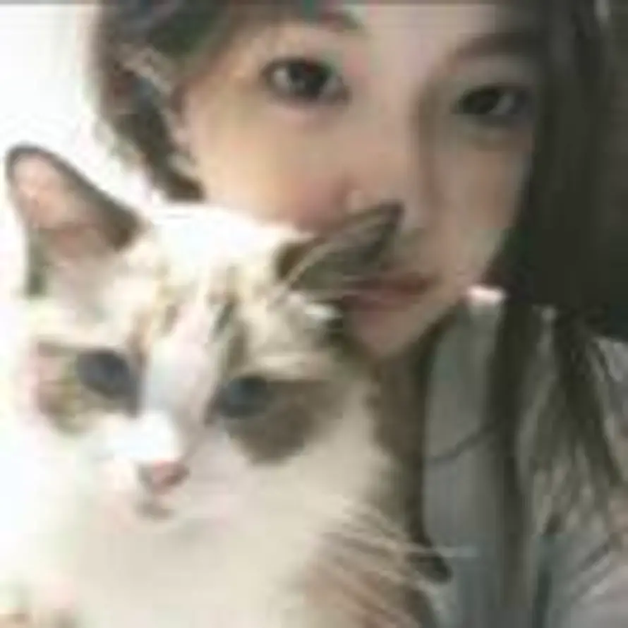 ㅤㅤㅤ的头像