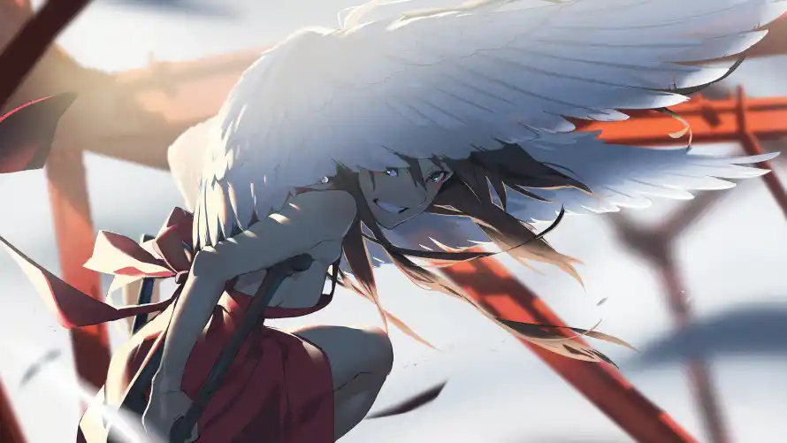 Favorite Image