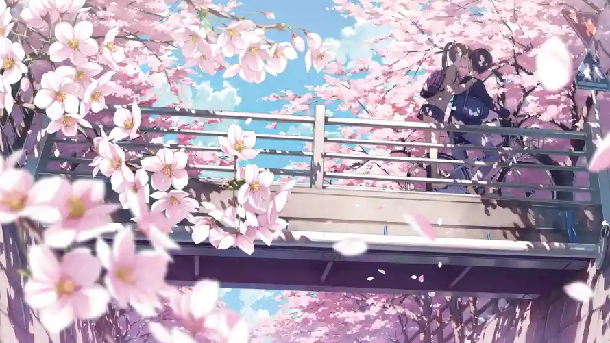 Favorite Image