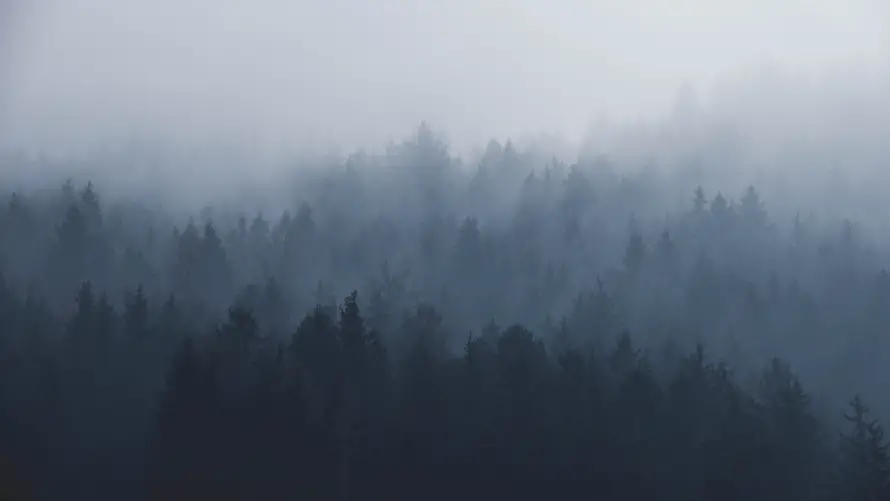 5k壁纸壁纸-雾景 - 朦胧-壁纸分享「哲风壁纸」