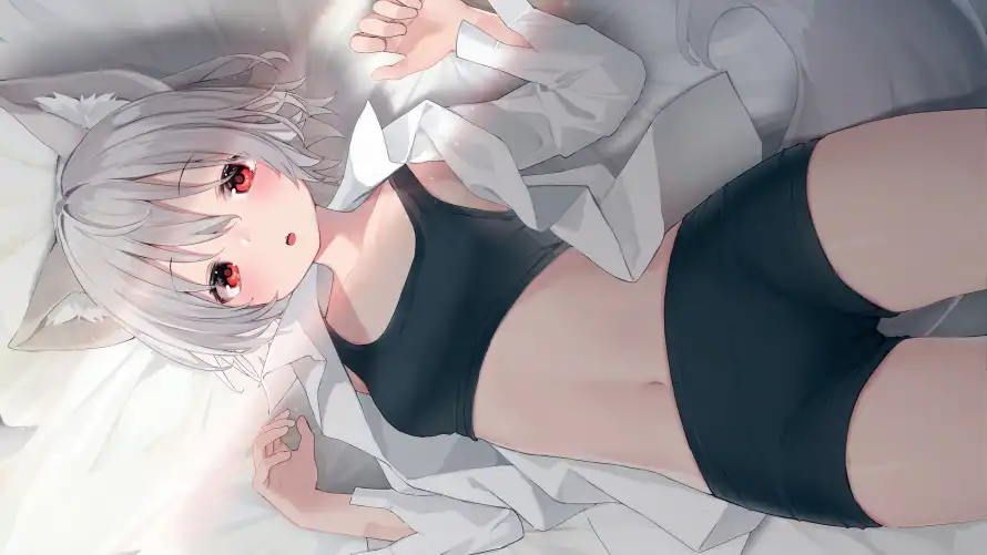 4k动漫壁纸-兽耳娘 - 萌娘-动漫壁纸壁纸推荐「哲风壁纸」