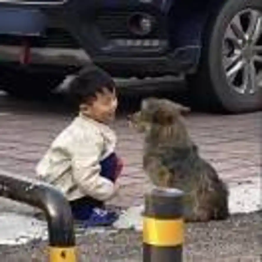 。的头像
