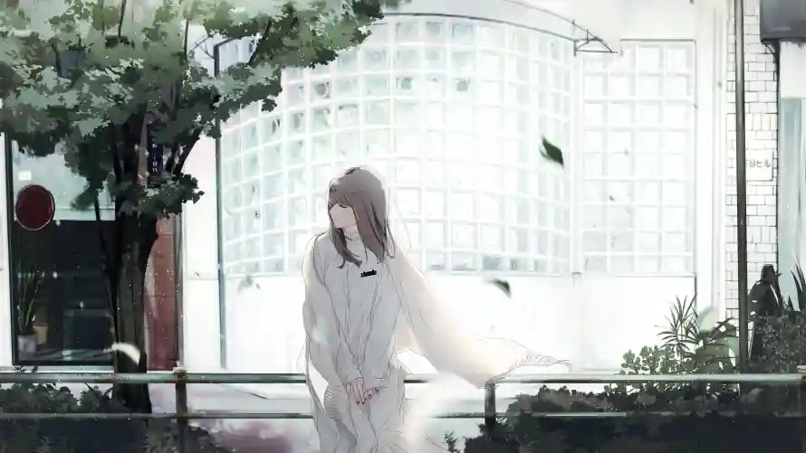 Favorite Image