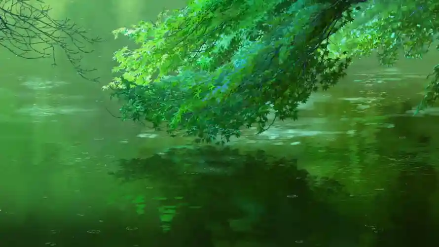 4k枫叶壁纸-风景 - 绿叶-壁纸分享「哲风壁纸」