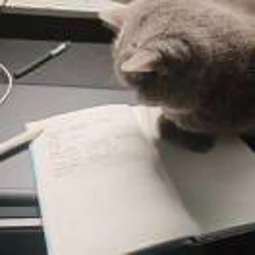 Just want to learn的头像