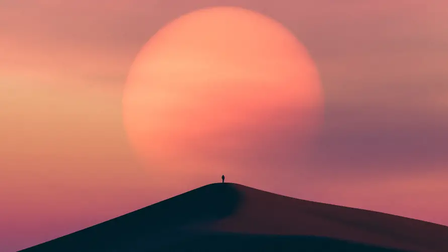 Favorite Image