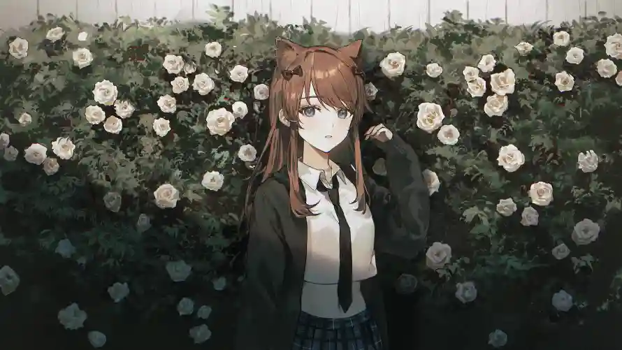 Favorite Image