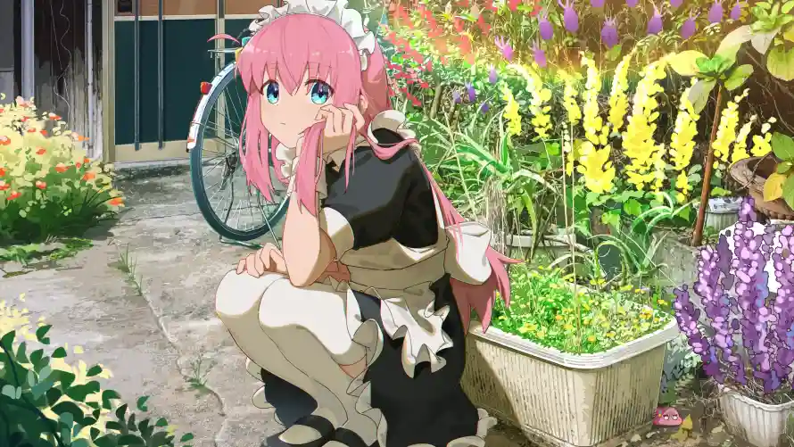 Favorite Image