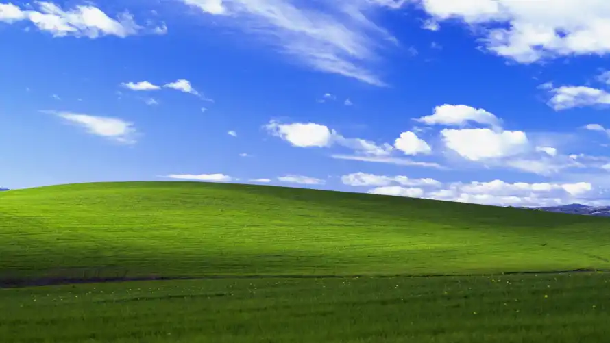 Favorite Image